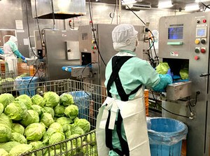 ”日高屋”を支える食品工場♪
色々な作業をローテーションで回るので
気分転換しながら働ける◎
＼40～60代のスタッフ活躍中／