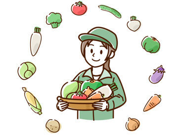 果物や野菜を仕分けたり、袋に詰めたり..
未経験でもすぐに覚えられるお仕事ばかり！
※イメージ画像