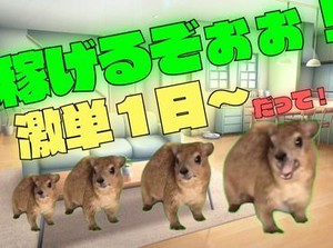「現金手渡し」の会社って、珍しいんですよ！大量募集中の今がチャンスです！