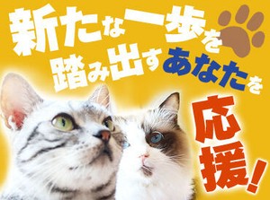 ＜全国各地にお仕事あり！＞
「○○市でありますか？」「こんなお仕事探してます！」etc…
まずはご相談だけでも大歓迎です★