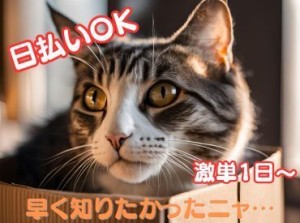 年齢不問！日払いOK★未経験でもカンタンなお仕事！