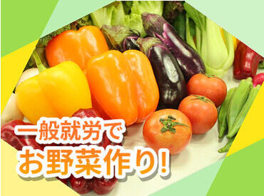 チームを組んでお仕事をします。分からないことはいつでも相談できる環境です♪
