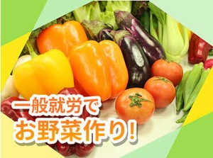 重い機材などは使わず、安全に栽培できる装置を採用しています◎