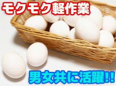 「畜産関係のお仕事は初めてです」
そんな方も大歓迎★イチからお教えします♪
にわとりから産まれた卵を大切にパック詰め