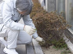 60～70代のシニア世代活躍中！直行直帰OK◎
接客はほとんどないので、久々のお仕事復帰にもピッタリ♪
※画像はイメージ