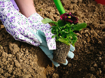 花の育て方や植木の剪定の仕方など
いろいろ学びながら稼げちゃう！