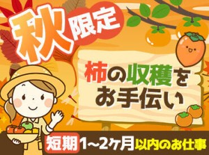 シーズン限定でレア感あり★
40～50件の農家さんが登録しているので
希望に合った勤務地が見つかる可能性大です♪