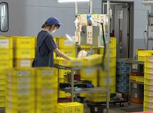 履歴書は不要！最短次の日には働ける♪
出張面接・WEB面接(LINEがあればOK)も行っています！
まずはお気軽にご応募ください！