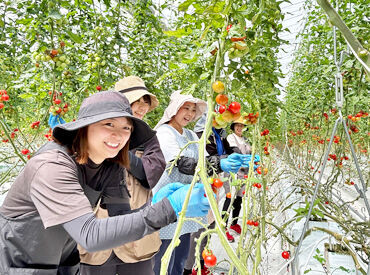 植物のお世話はコツコツ、黙々。
ついつい一人で集中してしまいますが、
困った時はいつでも周りに頼っていいんです♪