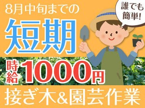 ＜約1～2ヶ月の短期バイトで稼ごう＞
日曜日は定休＆日中だけのお仕事です！短期で稼ぎたい学生さん・主婦（夫）さんにピッタリ