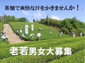 シフト自由！安心の完全自己申告制◎
入社即、日給1万円以上可！
＜完全日払い＞働いたその日に、お給料をGET★