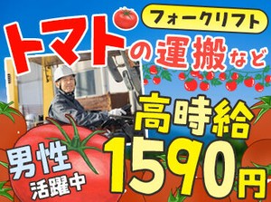 ハウス内にウォーターサーバーが設置されています！
こまめに水分補給して働ける環境です♪