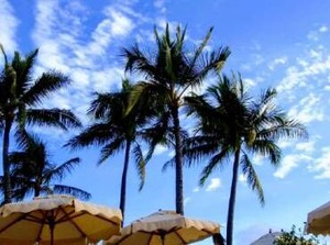 ★ひと夏の思い出づくりにピッタリ★
"リゾート"気分を体感しながら楽しくバイト◎
お友達と応募も歓迎♪
※画像はイメージです