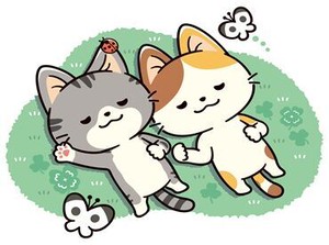 居心地の良いお店♪
学生～シニアまで幅広く活躍中！
やる事リストがあるのでそれに沿ってやるだけ！
のんびりなが～く働ける★