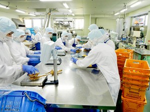 未経験大歓迎！
お菓子、おつまみ類の袋詰めや
検品などの「軽作業」スタッフ大募集！