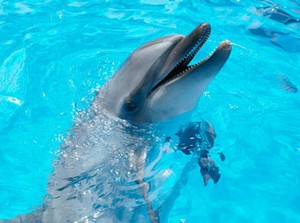 ＜＜夏の期間限定レアバイト＞＞
友達と一緒に参加もOK♪♪
まずはご応募お待ちしております★