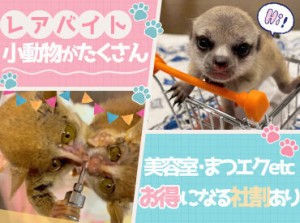 ＼未経験から正社員も／
動物好きな方大歓迎！
可愛い動物たちにお世話がメイン♪
知識や経験は必要ありません◎