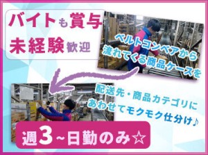 未経験でも始めやすい軽作業STAFF◎
"週5日"で安定収入をGET！
フリーターや第二新卒の方も大歓迎◎