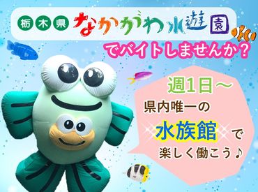 ＼働きながら思わずうっとり♪／
癒しの空間で働けるのも、水族館STAFFだけの特権です♪
マニュアル完備で初めてでも安心◎