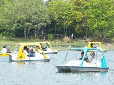 昭和記念公園のボート場でのお仕事☆
都会の喧騒を忘れられる、
とっても気持ちいい職場です♪
＼繁忙期は時給UP！／