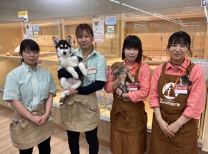 学生さん・フリーターさん・主婦(夫)さんまで幅広く大歓迎♪
動物を飼っている方や、人と接するのが好きな方に◎