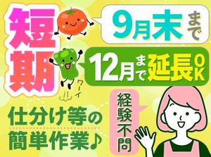 シーズン限定レア求人♪
季節の野菜や果物を取り扱った、シンプルワーク！