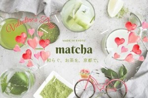 世界が注目☆抹茶スイーツ販売★